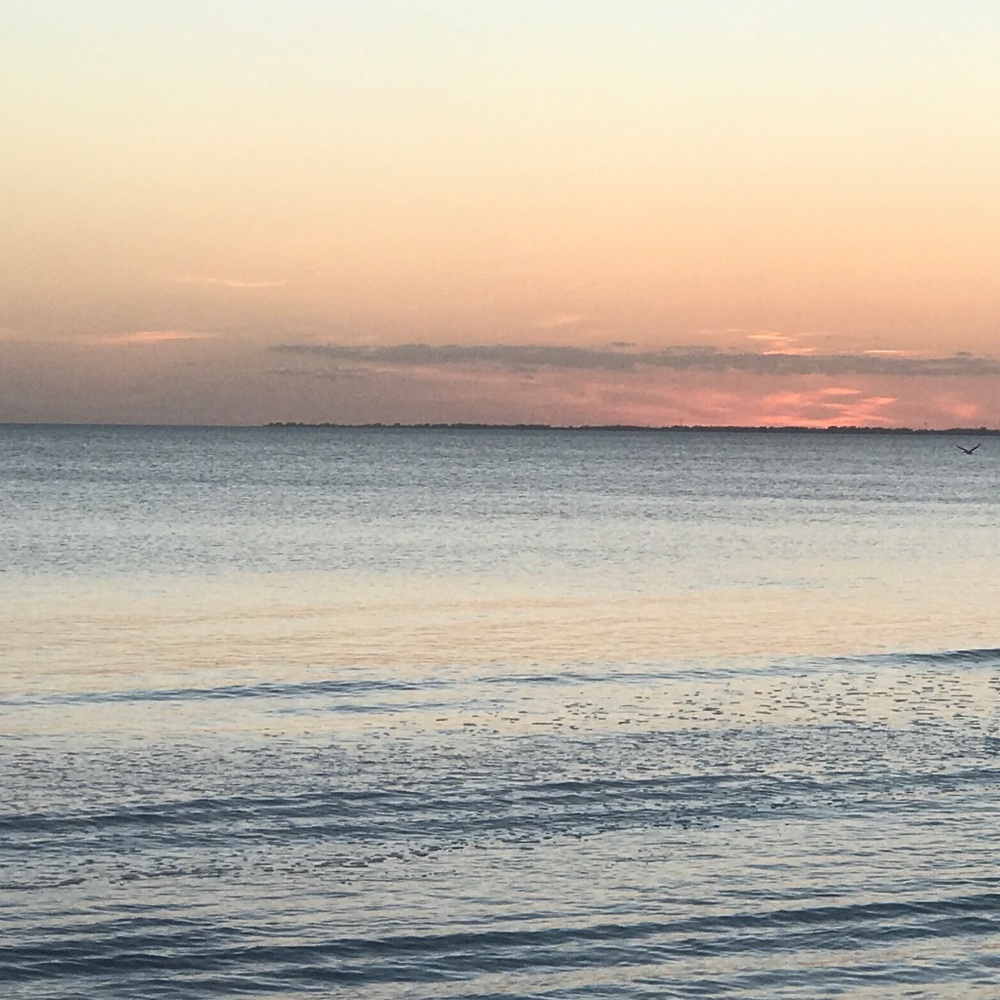 Meet your Posher, Goli